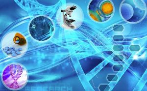 Biotechnology Valuation BiopharmaVantage